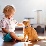 Benefits of Having a Cat for Children ( Secret Reveal)