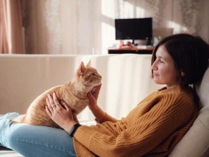 My Cat is Antisocial - Tips to Make Cats More Sociable